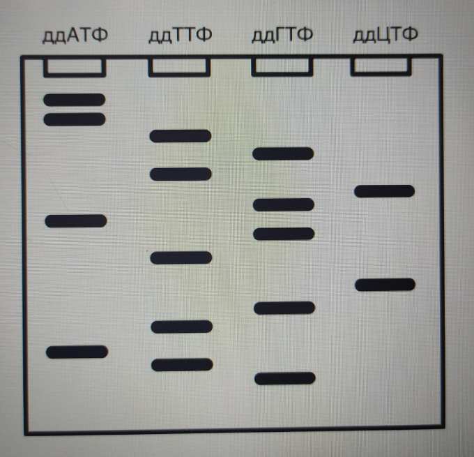 На рисунке показан участок цепи