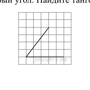 Найдите тангенс угла размер клетки. Тангенс угла на клетки 1х1. Острые углы на клетчатой бумаге. Как найти тангенс угла по клеточкам 1х1. На клеточной бумаги острый угол найти тангенс.