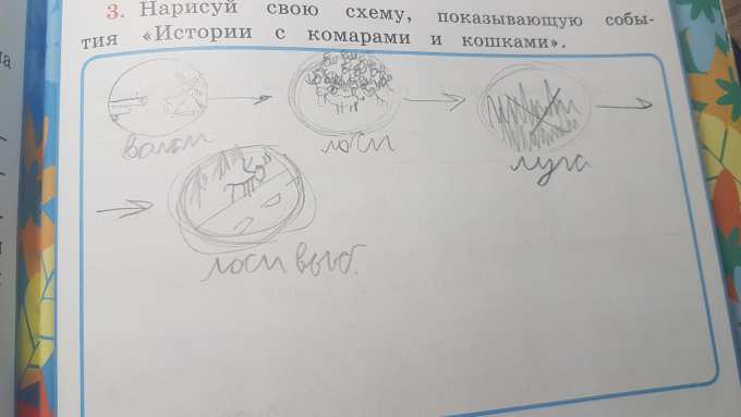 На рисунке сделанном в масштабе 1 50 показан путь комара и путь мухи