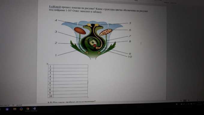 На рисунке изображен процесс биология. На рисунке 1 под цифрой 8 обозначено. Что изображено на рисунке под цифрой 8?. Назовите процессы обозначенные на рисунке цифрами биология 6 класс. Что обозначено под цифрами 5 7 10 ответы.