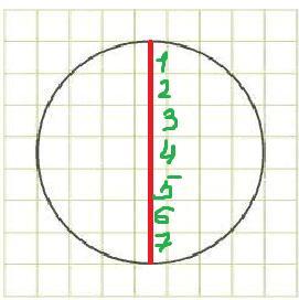 Длина стороны клетки. Диаметр круга на клетчатой бумаге. На клетчатой бумаге где длина стороны 7 условных единиц. Длина стороны клетки 4 условных единиц. Круг на бумаге из 4 клеток.