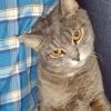 catik8339